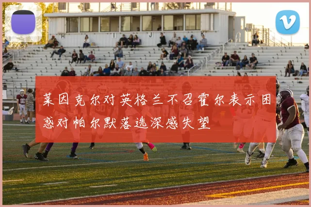 莱因克尔对英格兰不召霍尔表示困惑对帕尔默落选深感失望