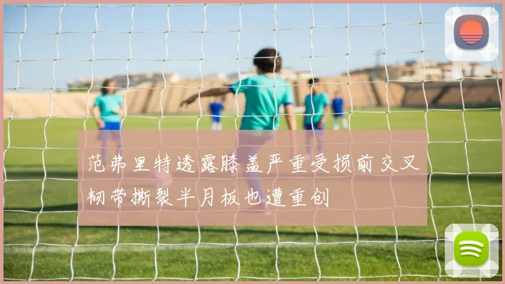 范弗里特透露膝盖严重受损前交叉韧带撕裂半月板也遭重创