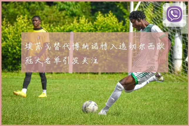 埃苏戈替代博纳诺特入选切尔西欧冠大名单引发关注